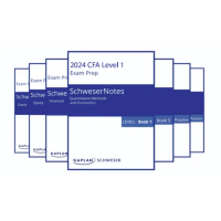 cfa 2024 l1